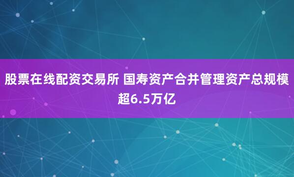 股票在线配资交易所 国寿资产合并管理资产总规模超6.5万亿