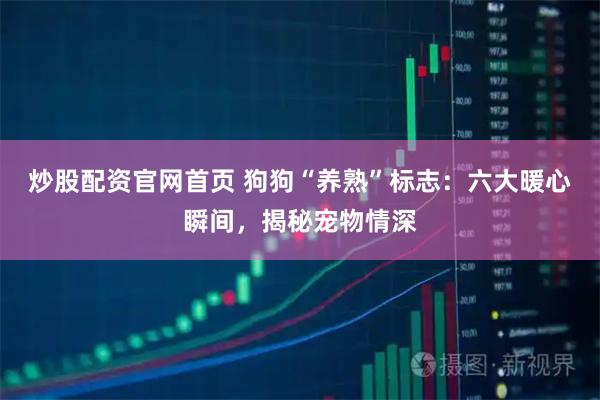 炒股配资官网首页 狗狗“养熟”标志：六大暖心瞬间，揭秘宠物情深