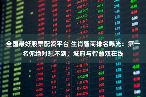 全国最好股票配资平台 生肖智商排名曝光：第一名你绝对想不到，城府与智慧双在线